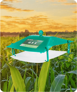 Insect pheromone traps